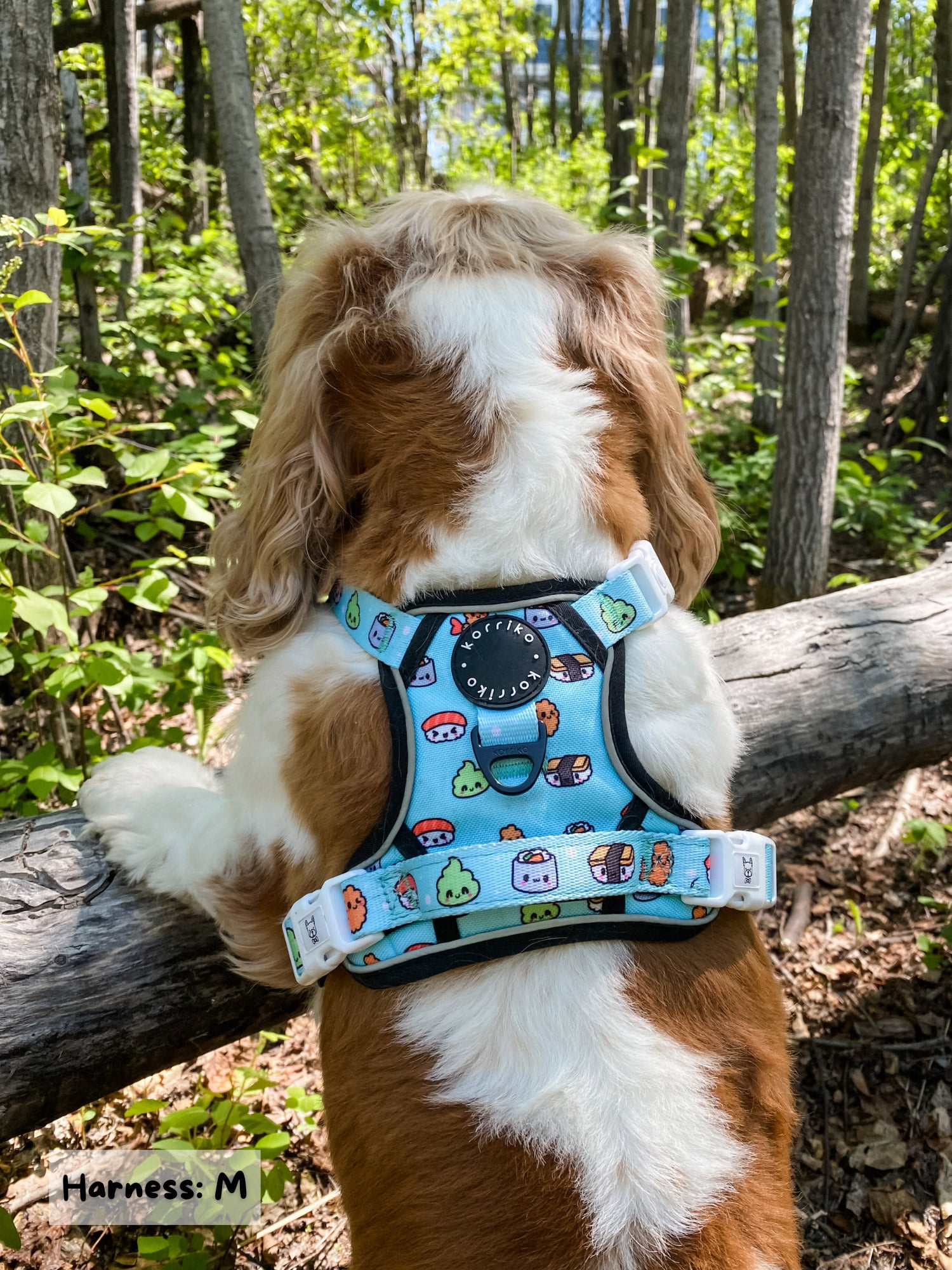 Exploration No-Pull Dog Harness - Sushi