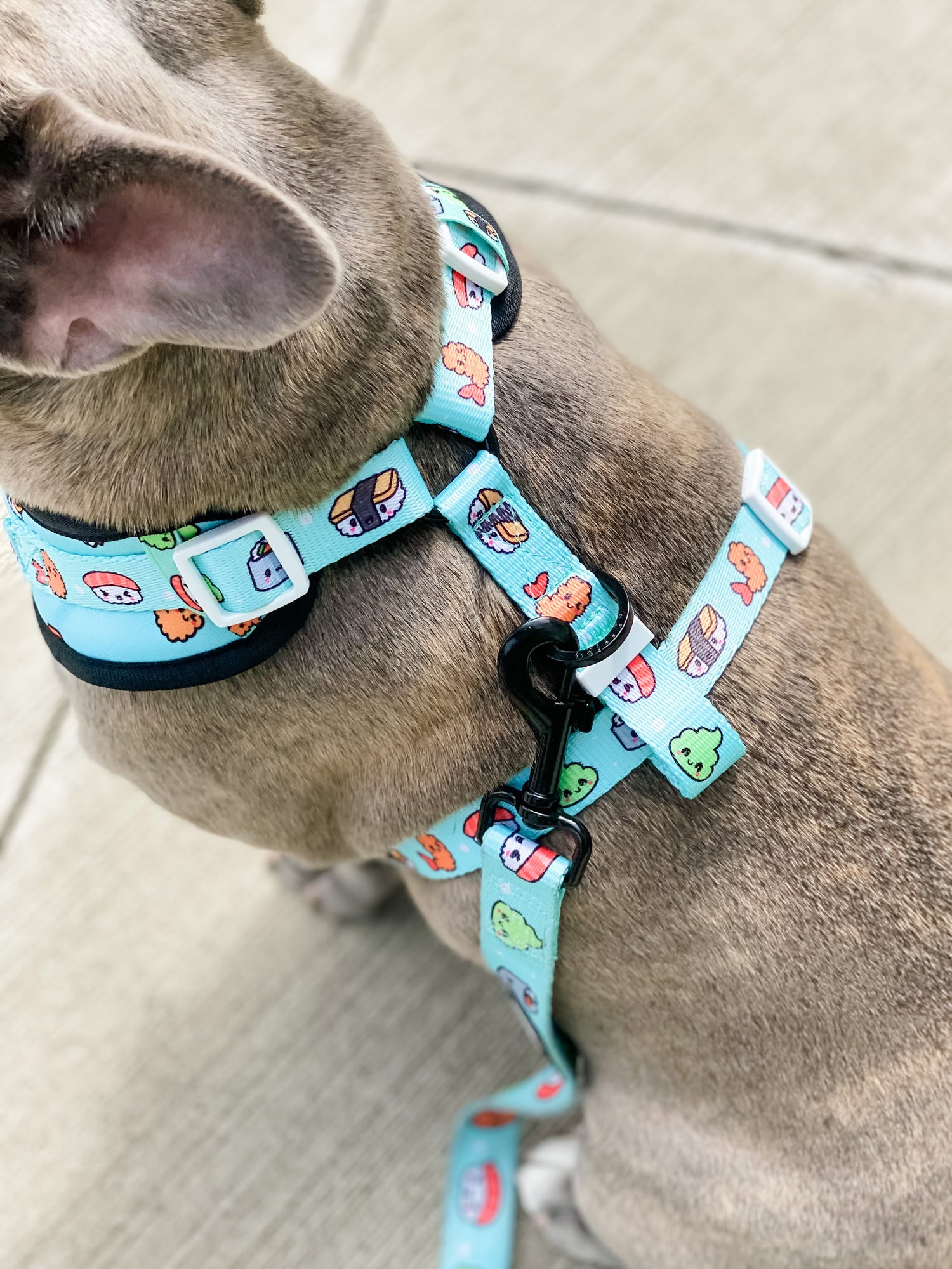 Essential Adjustable Harness Walk Set - Sushi (3-Piece)