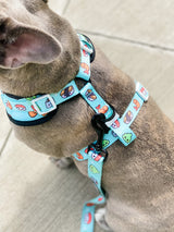 Essential Adjustable Harness Walk Set - Sushi (3-Piece)