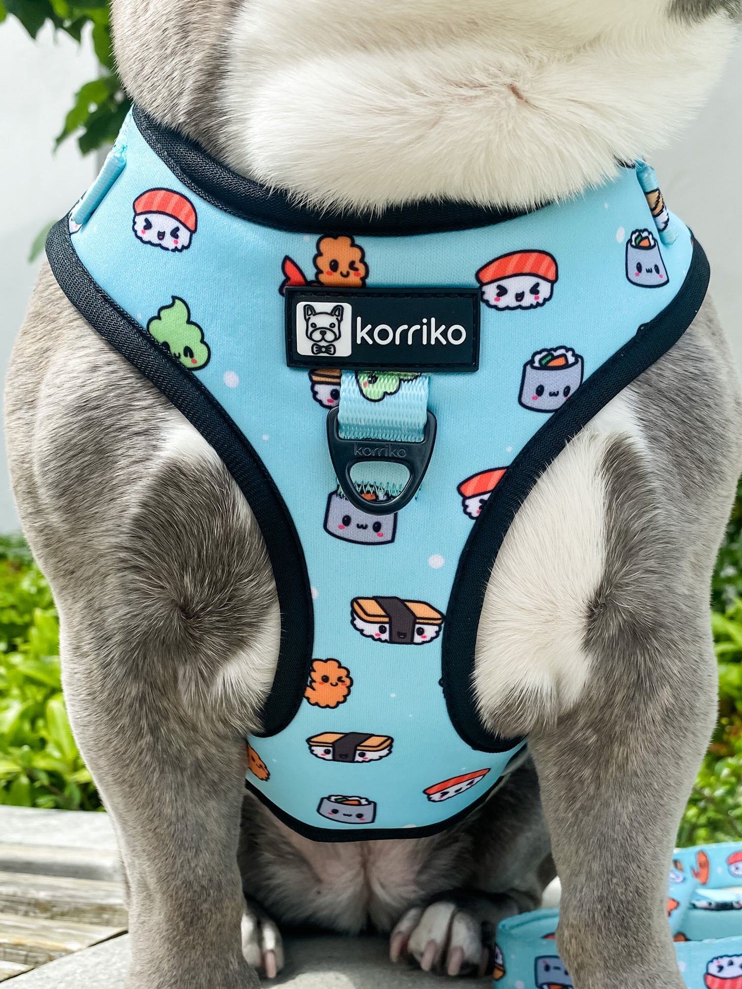 Essential Adjustable Harness Walk Set - Sushi (3-Piece)