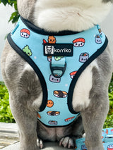 Essential Adjustable Harness Walk Set - Sushi (3-Piece)