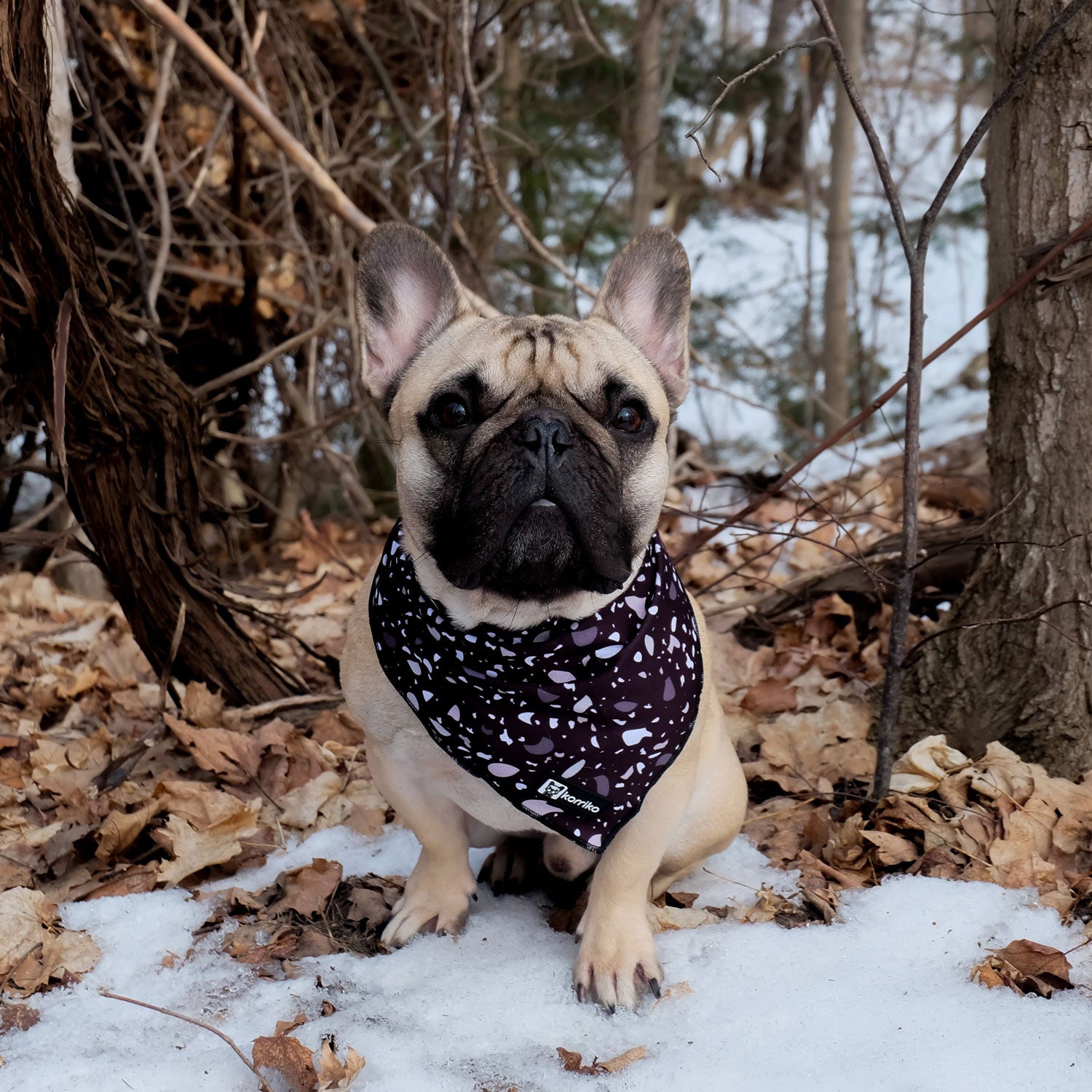 Cooling Dog Bandana - Terrazzo (Final Sale)