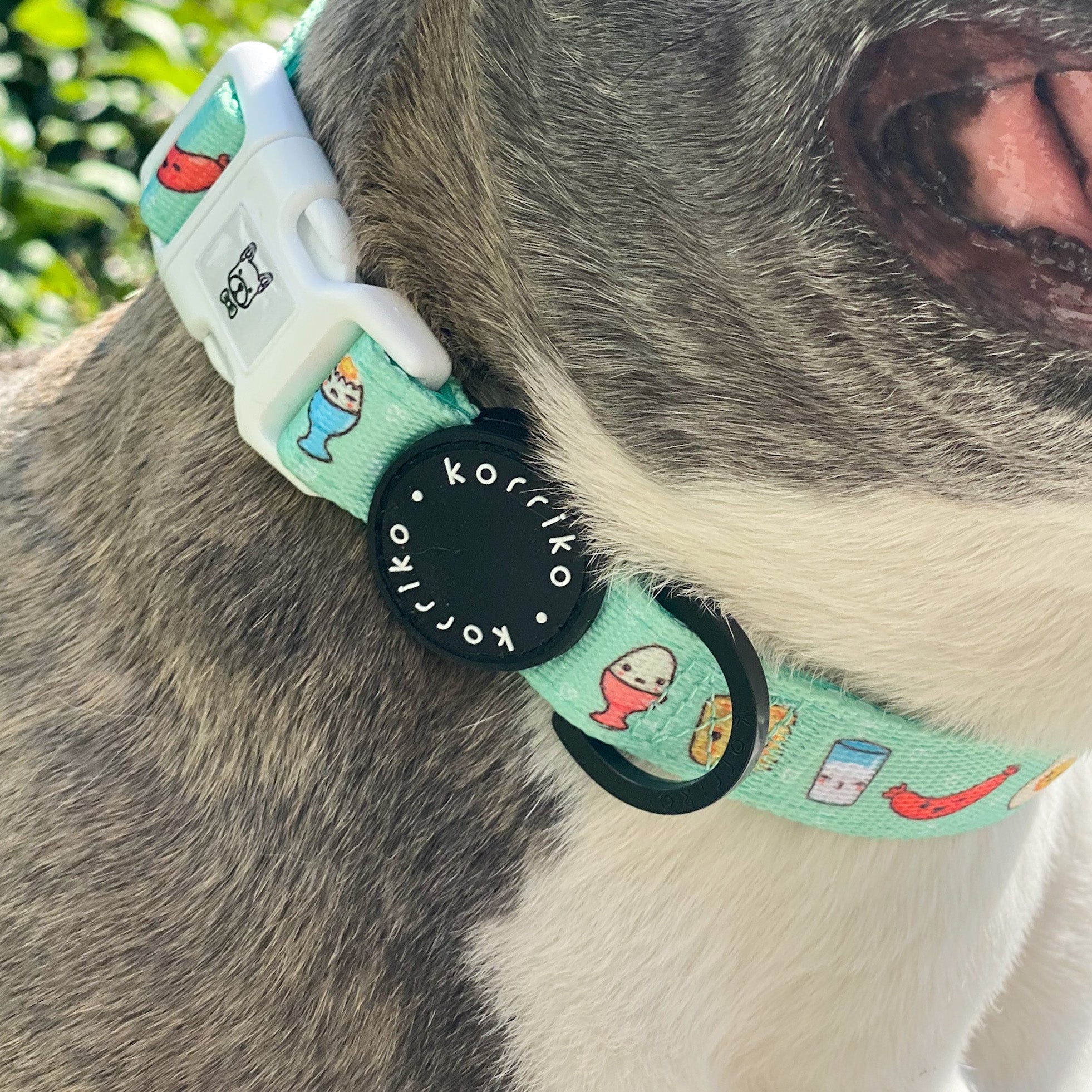 Dog Collar - Thanks A Brunch (SECONDS - FINAL SALE)