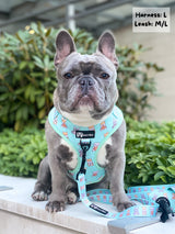 Essential Adjustable Harness Walk Set - Dream Team (3-Piece) (Final Sale)