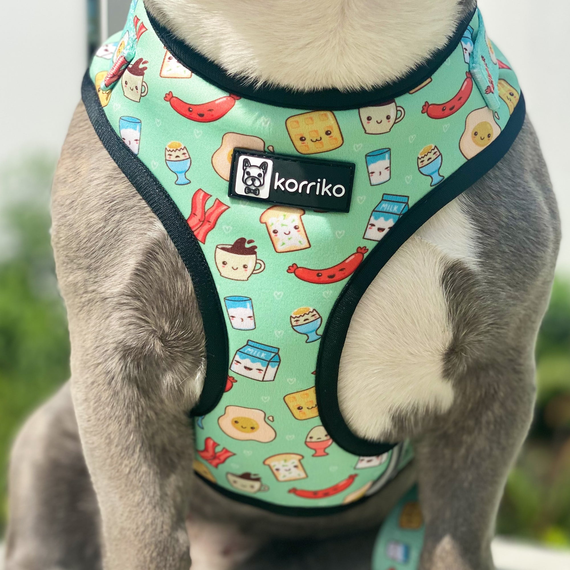 Adjustable Dog Harness - Thanks A Brunch (Final Sale)